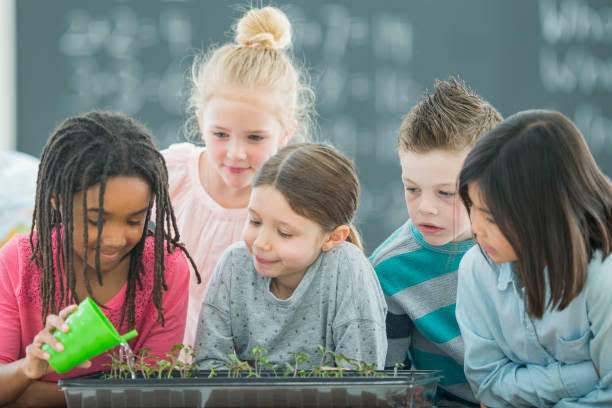 Five children standing around a planter with small sprouts. One child is watering it.